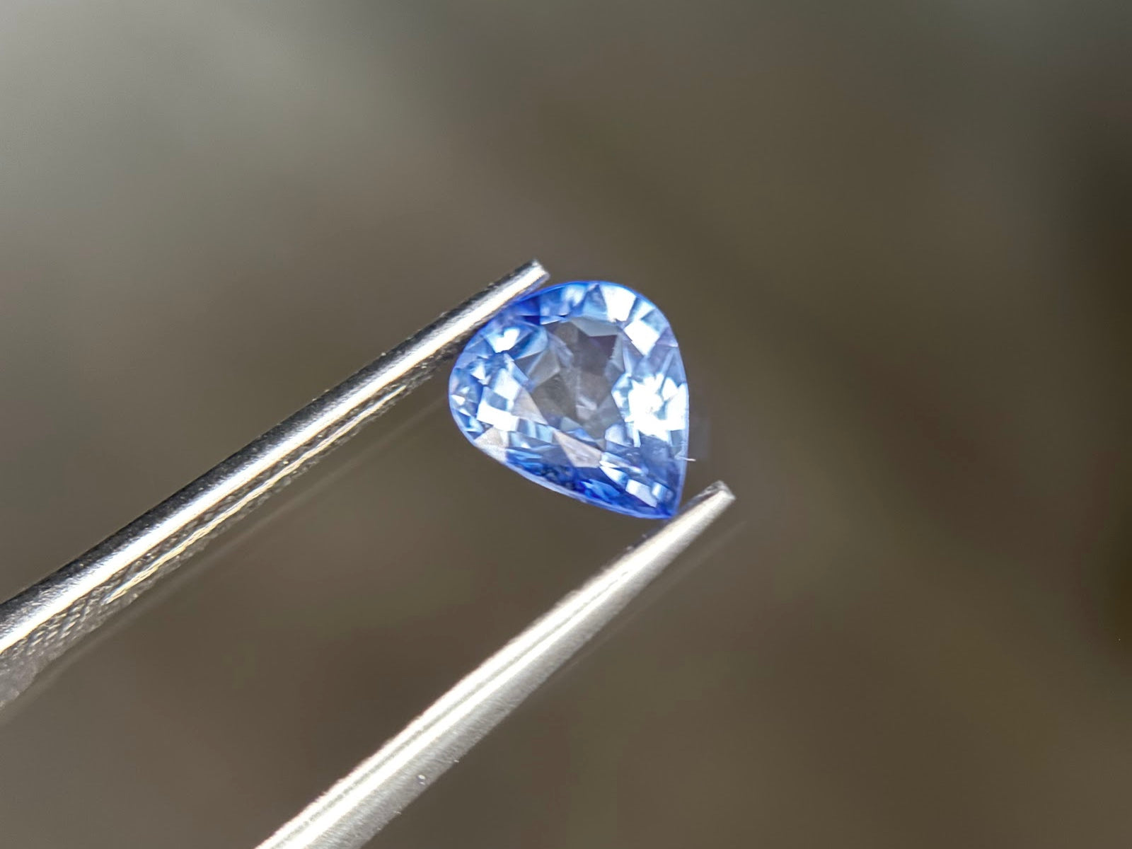 A loose pear-shaped cornflower blue sapphire held tip-up in stainless steel tweezers at Sapphire Row, showing deeper saturation along the girdle and bright silvery-blue brilliance through the crown