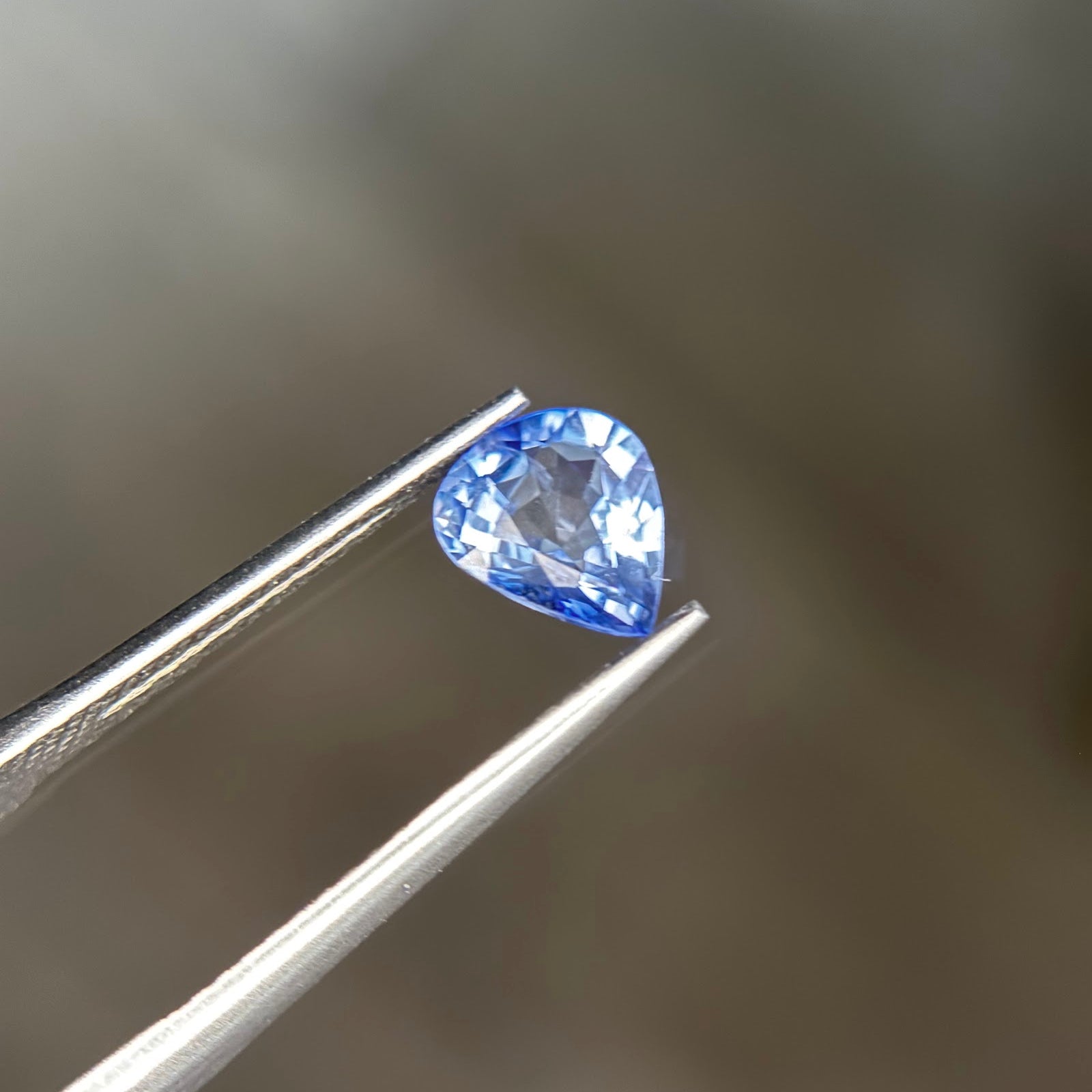 A loose pear-shaped cornflower blue sapphire held tip-up in stainless steel tweezers at Sapphire Row, showing deeper saturation along the girdle and bright silvery-blue brilliance through the crown