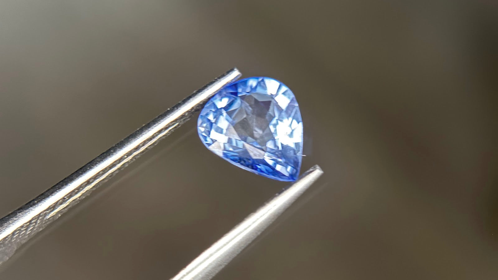 A loose pear-shaped cornflower blue sapphire held tip-up in stainless steel tweezers at Sapphire Row, showing deeper saturation along the girdle and bright silvery-blue brilliance through the crown