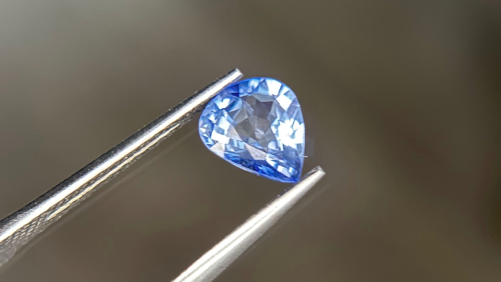 Pear-shaped brilliant-cut sapphire in a medium slightly violetish blue, held tip-down in fine steel tweezers at Sapphire Row, its color strongest across the shoulders and point with a softer grayish cast through the table