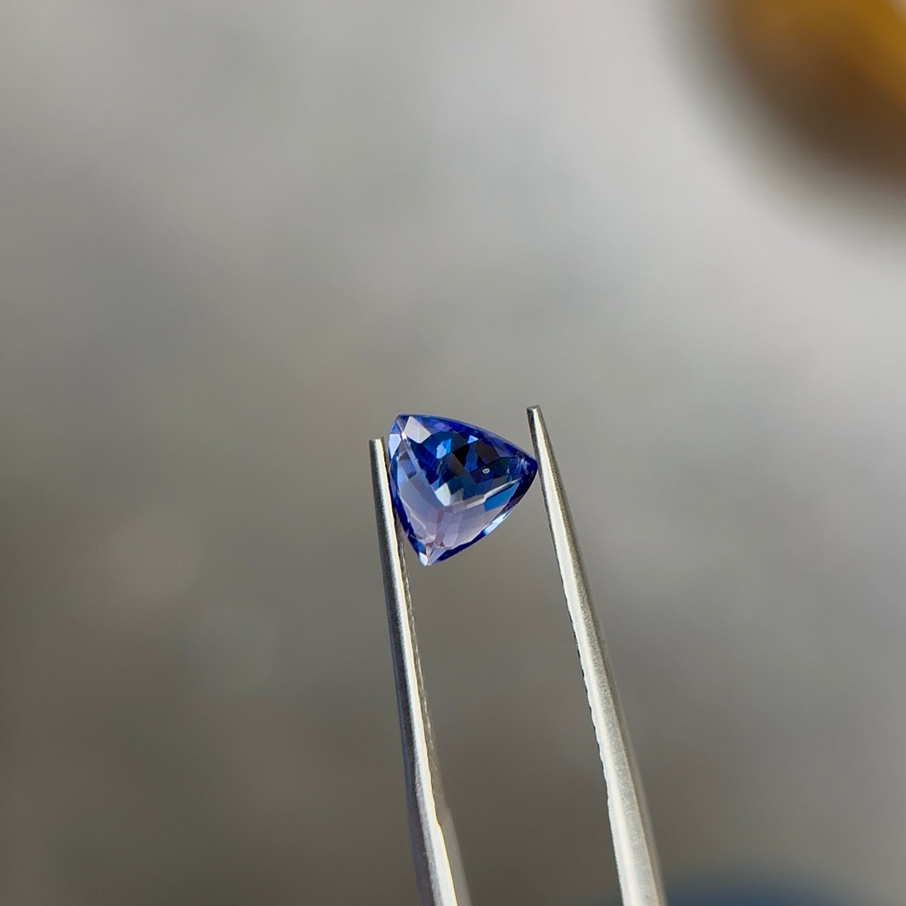 Trillion-cut tanzanite in a medium violetish blue with moderately strong saturation, held tip-down in steel tweezers at Sapphire Row, showing violet flashes in the lower facets - the December birthstone