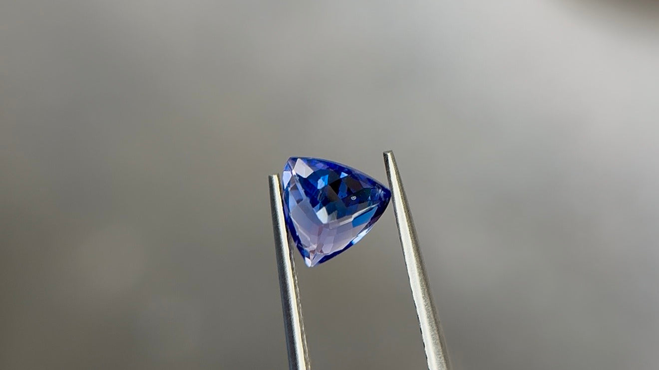 Trillion-cut tanzanite in a medium violetish blue with moderately strong saturation, held tip-down in steel tweezers at Sapphire Row, showing violet flashes in the lower facets - the December birthstone