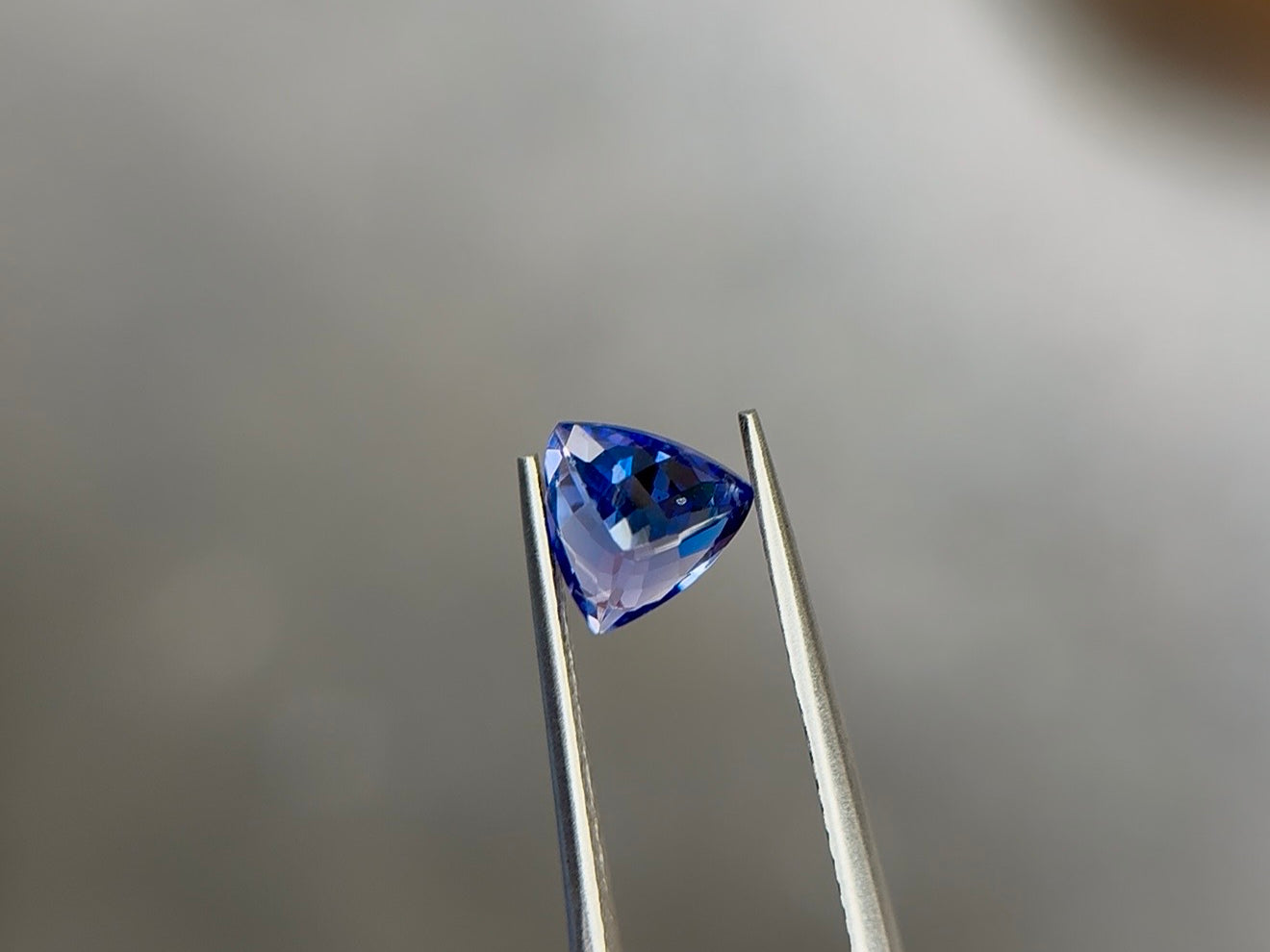 Trillion-cut tanzanite in a medium violetish blue with moderately strong saturation, held tip-down in steel tweezers at Sapphire Row, showing violet flashes in the lower facets - the December birthstone