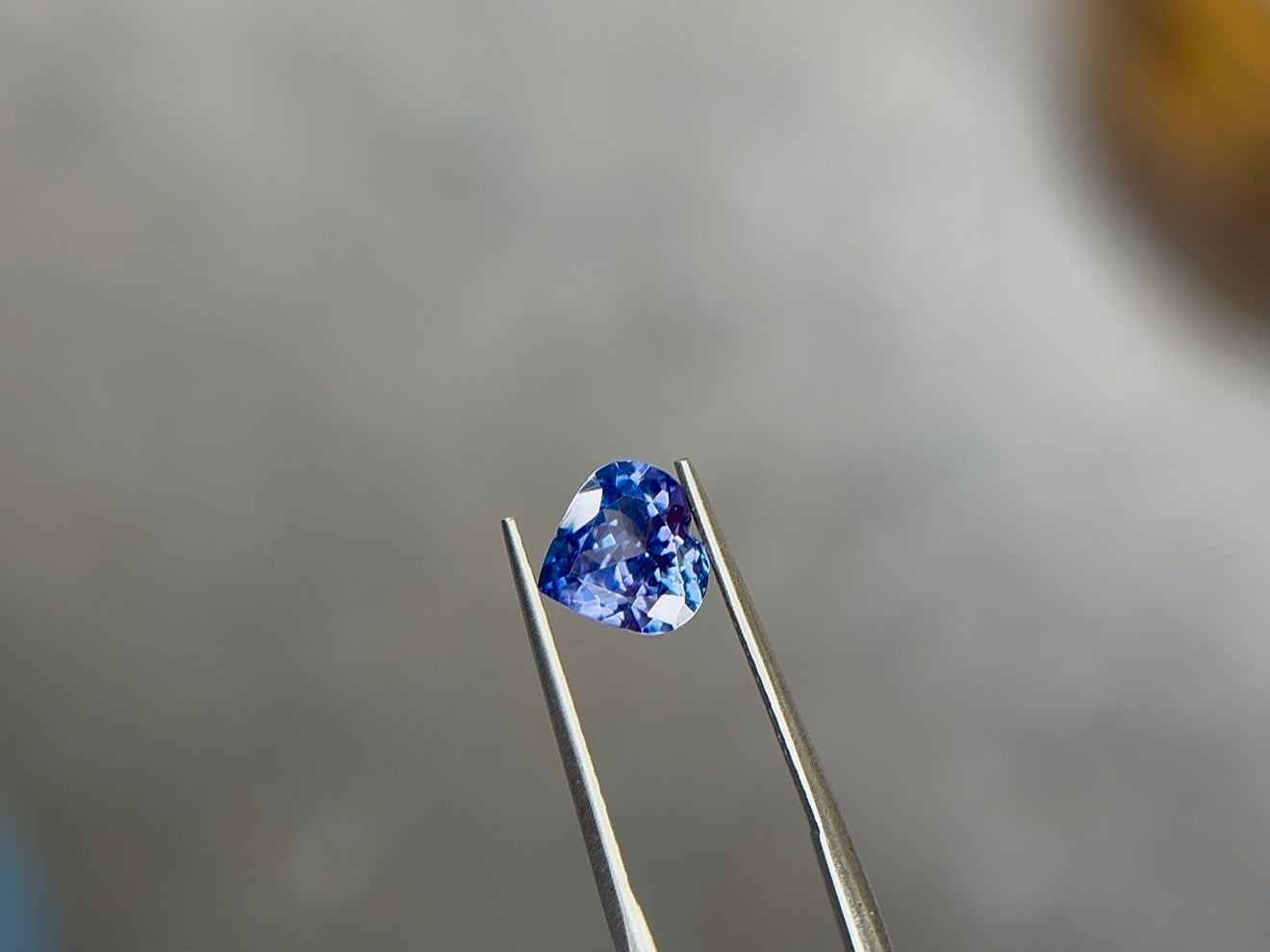 Heart-shaped brilliant-cut tanzanite in a medium to medium-dark violetish blue, held in polished stainless steel tweezers at Sapphire Row, showing violet flashes across the crown facets