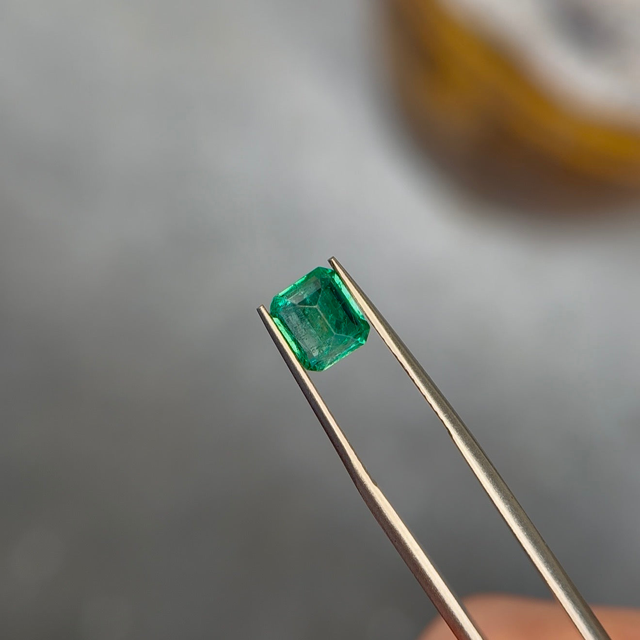 Emerald-cut vivid slightly bluish green Zambian emerald held in warm gold-toned tweezers at Sapphire Row, showing whitish jardin veils and mossy internal texture across the table