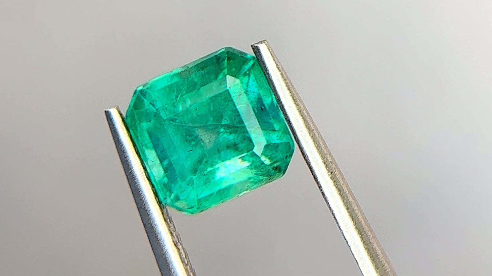 Emerald-cut Zambian emerald in a medium slightly bluish green with strong saturation, held face-up in polished steel tweezers at Sapphire Row, showing wispy jardin veils and healed fissures across the table