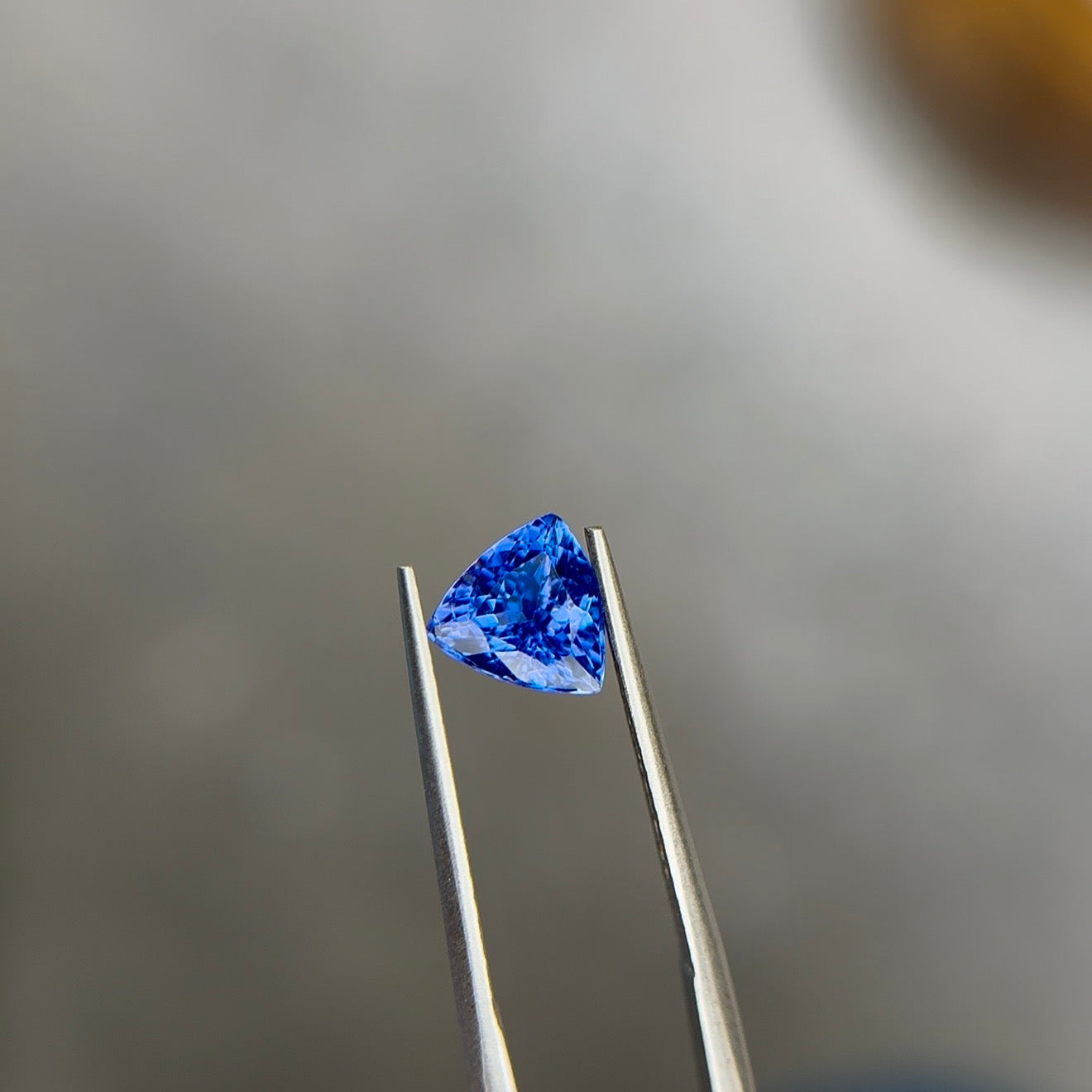 Trillion-cut vivid violetish blue gemstone held in stainless steel tweezers at Sapphire Row, its triangular outline spreading wide face-up for its carat weight