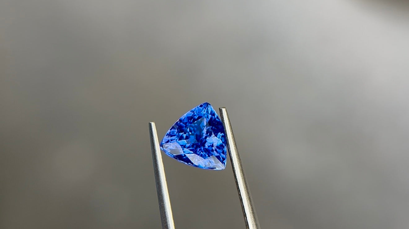 Trillion-cut vivid violetish blue gemstone held in stainless steel tweezers at Sapphire Row, its triangular outline spreading wide face-up for its carat weight