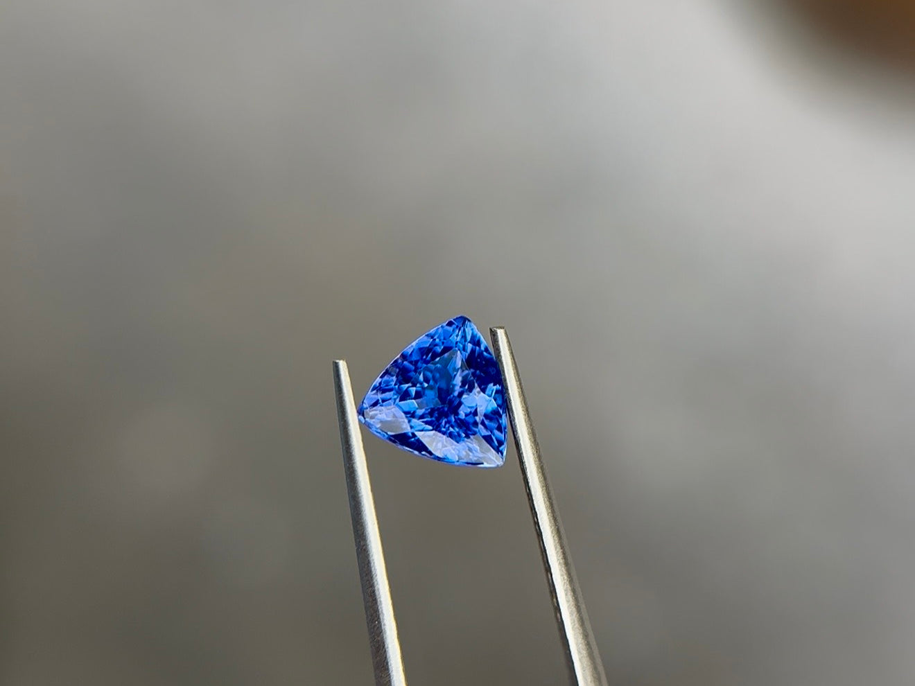 Trillion-cut vivid violetish blue gemstone held in stainless steel tweezers at Sapphire Row, its triangular outline spreading wide face-up for its carat weight