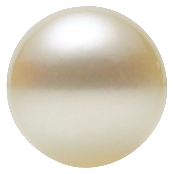 White cultured akoya pearl, round | Sapphire Row