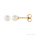 Sapphire Row Freshwater Pearl Stud Earrings - Yellow Gold