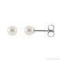 Sapphire Row Freshwater Pearl Stud Earrings - White Gold