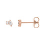 Sapphire Row Natural Diamond Toi et Moi Earrings - 14K Rose Gold