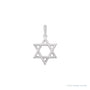 Sapphire Row Natural Diamond Twisted Rope Star of David Pendant - 14K White Gold
