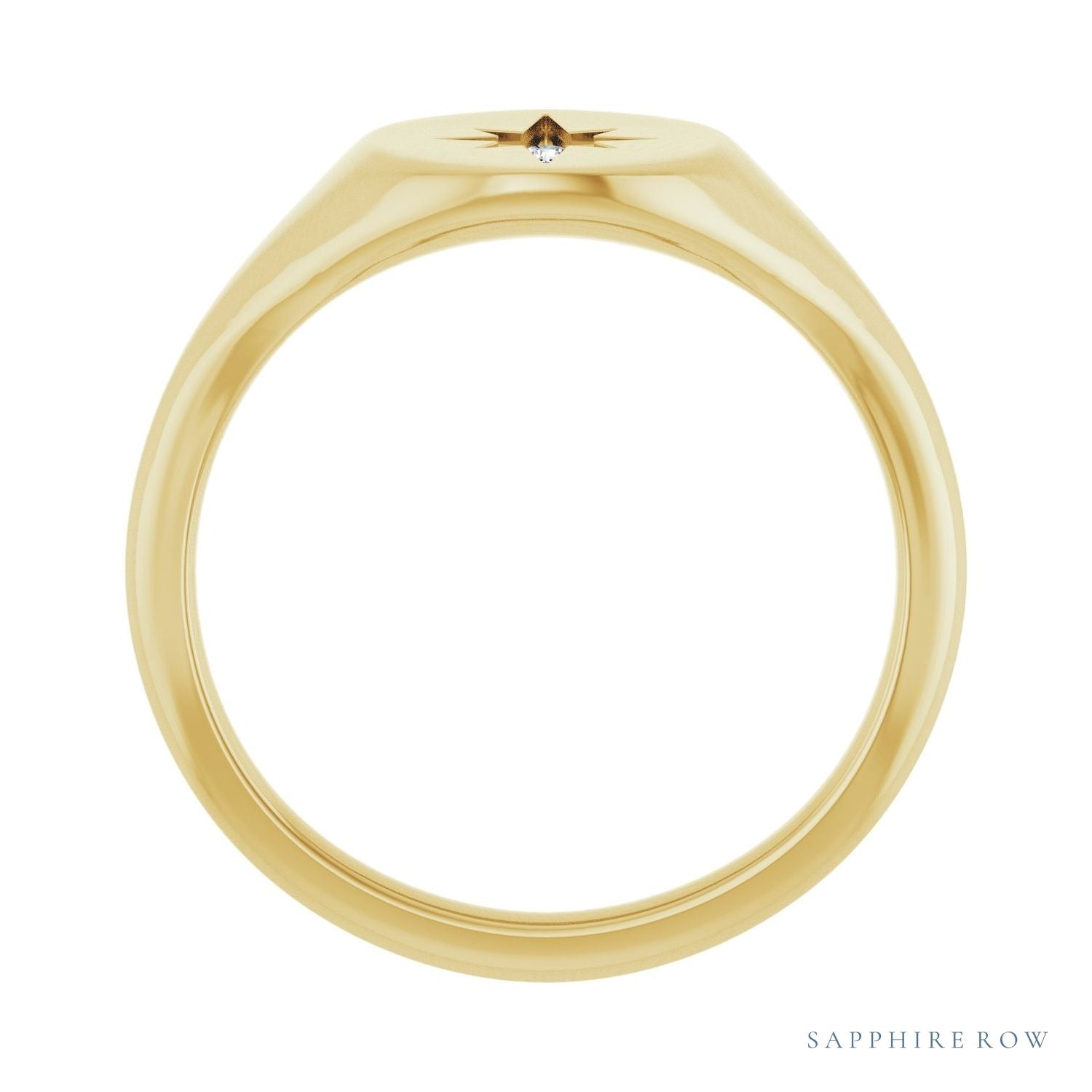 Sapphire Row Natural Diamond Starburst Signet Ring - 14K Yellow Gold (view 2)