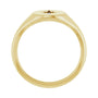 Sapphire Row Natural Diamond Starburst Signet Ring - 14K Yellow Gold (view 2)