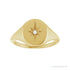 Sapphire Row Natural Diamond Starburst Signet Ring - 14K Yellow Gold (view 3)