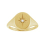 Sapphire Row Natural Diamond Starburst Signet Ring - 14K Yellow Gold (view 3)