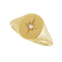 Sapphire Row Natural Diamond Starburst Signet Ring - 14K Yellow Gold (view 5)