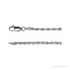 Sapphire Row Rope Chain Necklace - 2.5 mm, 14K White Gold