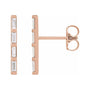 Sapphire Row Natural Diamond Baguette Bar Earrings - 14K Rose Gold, 1/6 CTW