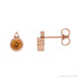 Sapphire Row Natural Gemstone Accented Bezel Earrings - Citrine, 14K Rose Gold, 4 mm