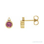 Sapphire Row Natural Gemstone Accented Bezel Earrings - Pink Tourmaline, 14K Yellow Gold, 4 mm