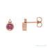Sapphire Row Natural Gemstone Accented Bezel Earrings - Pink Tourmaline, 14K Rose Gold, 4 mm
