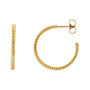Sapphire Row Gold Twisted Rope Hoop Earrings - 14K Yellow Gold, 21 mm