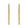 Sapphire Row Gold Twisted Rope Hoop Earrings - 14K Yellow Gold, 25 mm (view 2)
