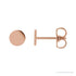 Sapphire Row Engravable Gold Disc Stud Earrings - 14K Rose Gold, 5 mm