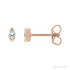 Sapphire Row Lab-Grown Diamond Half-Bezel Marquise Stud Earrings - 14K Rose Gold