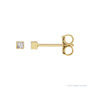 Sapphire Row Natural Diamond Princess-Cut Bezel Stud Earrings - 14K Yellow Gold, .05 CTW