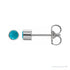 Sapphire Row Natural Gemstone Round Bezel Stud Earrings - Turquoise, 14K White Gold