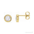 Sapphire Row Natural Rose-Cut Diamond Bezel Stud Earrings - 14K Yellow Gold, 5/8 CTW