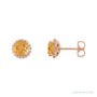 Sapphire Row Natural Gemstone Halo Stud Earrings - Citrine, 14K Rose Gold