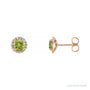 Sapphire Row Natural Gemstone Halo Stud Earrings - Peridot, 14K Rose Gold