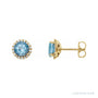 Sapphire Row Natural Gemstone Halo Stud Earrings - Aquamarine, 14K Yellow Gold