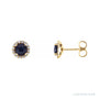 Sapphire Row Natural Gemstone Halo Stud Earrings - Blue Sapphire, 14K Yellow Gold, 5 mm
