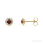 Sapphire Row Natural Gemstone Halo Stud Earrings - Mozambique Garnet, 14K Yellow Gold