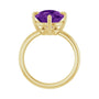 Sapphire Row Natural Gemstone Oval Solitaire Ring - Amethyst, 14K Yellow Gold, 12 × 10 mm (view 2)