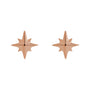 Sapphire Row Gold Eight-Point Star Stud Earrings - 14K Rose Gold, 7.1 × 6.7 mm, Friction back (view 2)