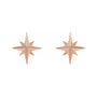 Sapphire Row Gold Eight-Point Star Stud Earrings - 14K Rose Gold, 9.7 × 9.3 mm, Friction back (view 2)