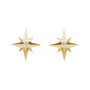 Sapphire Row Natural Diamond Eight-Point Star Stud Earrings - 14K Yellow Gold (view 2)