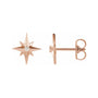 Sapphire Row Natural Diamond Eight-Point Star Stud Earrings - 14K Rose Gold