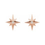 Sapphire Row Natural Diamond Eight-Point Star Stud Earrings - 14K Rose Gold (view 2)