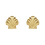 Sapphire Row Gold Seashell Stud Earrings - 14K Yellow Gold (view 2)