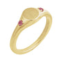 Sapphire Row Engravable Natural Gemstone Accented Signet Ring - Pink Tourmaline, 14K Yellow Gold