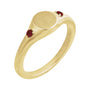 Sapphire Row Engravable Natural Gemstone Accented Signet Ring - Mozambique Garnet, 14K Yellow Gold