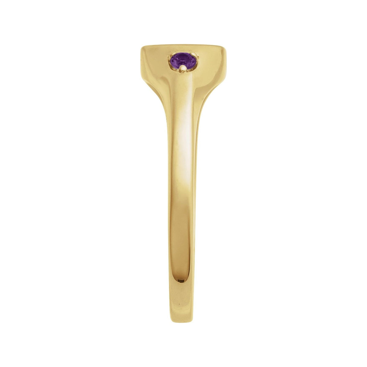 Sapphire Row Engravable Natural Gemstone Accented Signet Ring - Amethyst, 14K Yellow Gold (view 3)